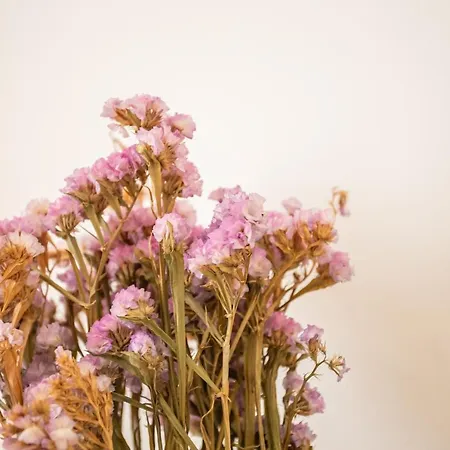 Дом отдыха Casa Brisa, Mar E Sol *